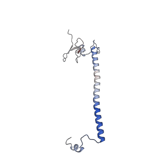 10999_6yxx_BU_v1-0
State A of the Trypanosoma brucei mitoribosomal large subunit assembly intermediate