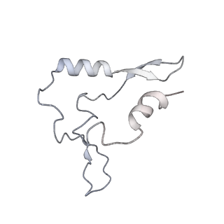 10999_6yxx_BV_v1-0
State A of the Trypanosoma brucei mitoribosomal large subunit assembly intermediate