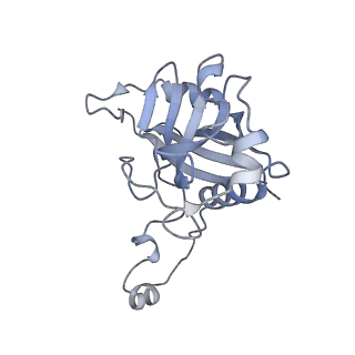 10999_6yxx_BZ_v1-0
State A of the Trypanosoma brucei mitoribosomal large subunit assembly intermediate