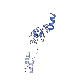 10999_6yxx_Ba_v1-0
State A of the Trypanosoma brucei mitoribosomal large subunit assembly intermediate