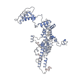 10999_6yxx_E1_v1-0
State A of the Trypanosoma brucei mitoribosomal large subunit assembly intermediate