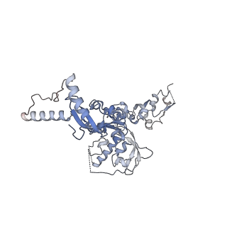 10999_6yxx_E2_v1-0
State A of the Trypanosoma brucei mitoribosomal large subunit assembly intermediate