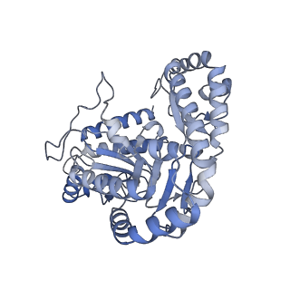 10999_6yxx_E3_v1-0
State A of the Trypanosoma brucei mitoribosomal large subunit assembly intermediate