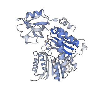 10999_6yxx_E4_v1-0
State A of the Trypanosoma brucei mitoribosomal large subunit assembly intermediate