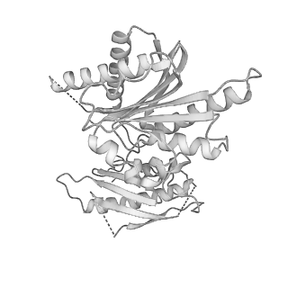 10999_6yxx_E5_v1-0
State A of the Trypanosoma brucei mitoribosomal large subunit assembly intermediate