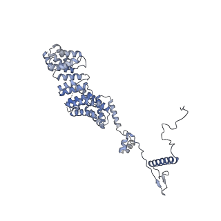 10999_6yxx_E6_v1-0
State A of the Trypanosoma brucei mitoribosomal large subunit assembly intermediate