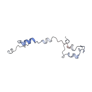 10999_6yxx_E7_v1-0
State A of the Trypanosoma brucei mitoribosomal large subunit assembly intermediate