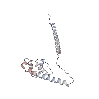 10999_6yxx_E8_v1-0
State A of the Trypanosoma brucei mitoribosomal large subunit assembly intermediate