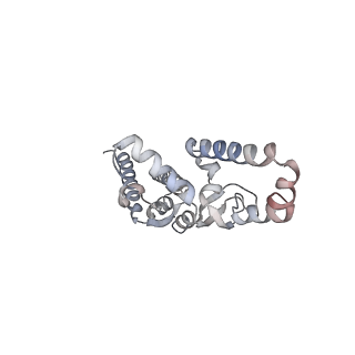 10999_6yxx_E9_v1-0
State A of the Trypanosoma brucei mitoribosomal large subunit assembly intermediate