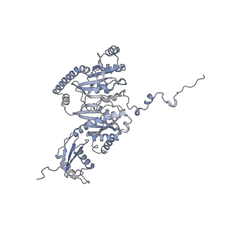 10999_6yxx_EA_v1-0
State A of the Trypanosoma brucei mitoribosomal large subunit assembly intermediate