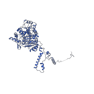 10999_6yxx_EB_v1-0
State A of the Trypanosoma brucei mitoribosomal large subunit assembly intermediate