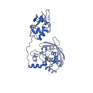 10999_6yxx_EC_v1-0
State A of the Trypanosoma brucei mitoribosomal large subunit assembly intermediate