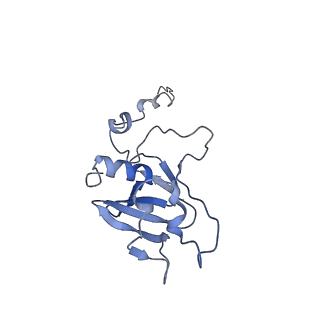 10999_6yxx_EG_v1-0
State A of the Trypanosoma brucei mitoribosomal large subunit assembly intermediate