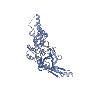 10999_6yxx_EH_v1-0
State A of the Trypanosoma brucei mitoribosomal large subunit assembly intermediate