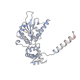 10999_6yxx_EM_v1-0
State A of the Trypanosoma brucei mitoribosomal large subunit assembly intermediate