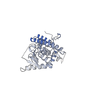 10999_6yxx_EO_v1-0
State A of the Trypanosoma brucei mitoribosomal large subunit assembly intermediate