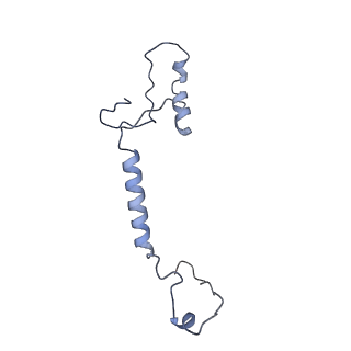 10999_6yxx_ET_v1-0
State A of the Trypanosoma brucei mitoribosomal large subunit assembly intermediate