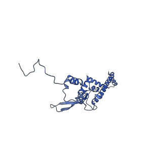 11000_6yxy_A1_v1-0
State B of the Trypanosoma brucei mitoribosomal large subunit assembly intermediate