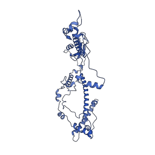 11000_6yxy_A2_v1-0
State B of the Trypanosoma brucei mitoribosomal large subunit assembly intermediate