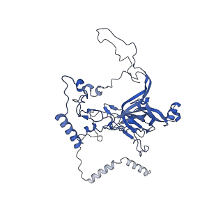 11000_6yxy_AE_v1-0
State B of the Trypanosoma brucei mitoribosomal large subunit assembly intermediate