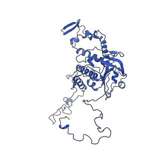 11000_6yxy_AF_v1-0
State B of the Trypanosoma brucei mitoribosomal large subunit assembly intermediate