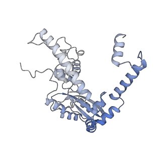11000_6yxy_AK_v1-0
State B of the Trypanosoma brucei mitoribosomal large subunit assembly intermediate