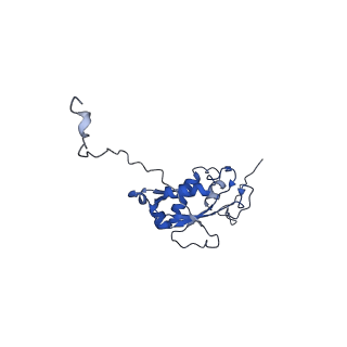 11000_6yxy_AN_v1-0
State B of the Trypanosoma brucei mitoribosomal large subunit assembly intermediate
