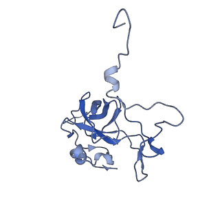 11000_6yxy_AO_v1-0
State B of the Trypanosoma brucei mitoribosomal large subunit assembly intermediate