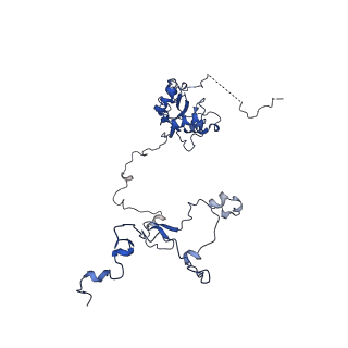 11000_6yxy_AP_v1-0
State B of the Trypanosoma brucei mitoribosomal large subunit assembly intermediate