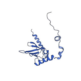 11000_6yxy_AT_v1-0
State B of the Trypanosoma brucei mitoribosomal large subunit assembly intermediate