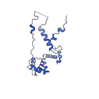 11000_6yxy_AU_v1-0
State B of the Trypanosoma brucei mitoribosomal large subunit assembly intermediate