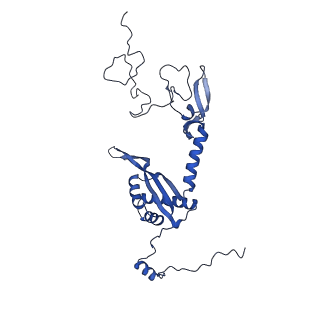 11000_6yxy_AW_v1-0
State B of the Trypanosoma brucei mitoribosomal large subunit assembly intermediate
