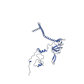 11000_6yxy_AY_v1-0
State B of the Trypanosoma brucei mitoribosomal large subunit assembly intermediate