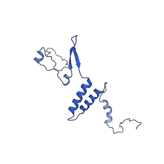 11000_6yxy_Af_v1-0
State B of the Trypanosoma brucei mitoribosomal large subunit assembly intermediate