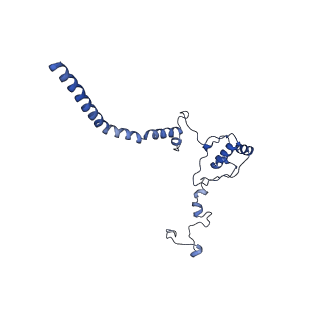 11000_6yxy_Av_v1-0
State B of the Trypanosoma brucei mitoribosomal large subunit assembly intermediate