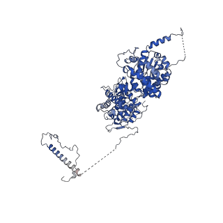 11000_6yxy_BA_v1-0
State B of the Trypanosoma brucei mitoribosomal large subunit assembly intermediate