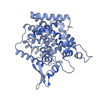 11000_6yxy_BD_v1-0
State B of the Trypanosoma brucei mitoribosomal large subunit assembly intermediate