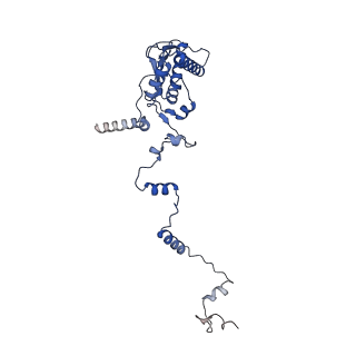 11000_6yxy_BH_v1-0
State B of the Trypanosoma brucei mitoribosomal large subunit assembly intermediate