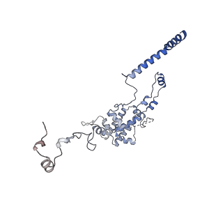 11000_6yxy_BJ_v1-0
State B of the Trypanosoma brucei mitoribosomal large subunit assembly intermediate