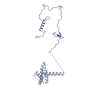 11000_6yxy_BK_v1-0
State B of the Trypanosoma brucei mitoribosomal large subunit assembly intermediate