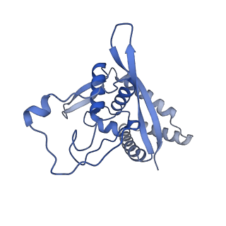 11000_6yxy_BN_v1-0
State B of the Trypanosoma brucei mitoribosomal large subunit assembly intermediate