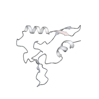 11000_6yxy_BV_v1-0
State B of the Trypanosoma brucei mitoribosomal large subunit assembly intermediate