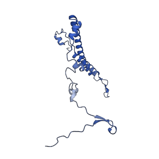 11000_6yxy_BW_v1-0
State B of the Trypanosoma brucei mitoribosomal large subunit assembly intermediate