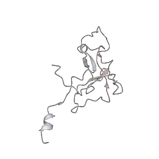 11000_6yxy_BX_v1-0
State B of the Trypanosoma brucei mitoribosomal large subunit assembly intermediate