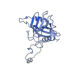 11000_6yxy_BZ_v1-0
State B of the Trypanosoma brucei mitoribosomal large subunit assembly intermediate