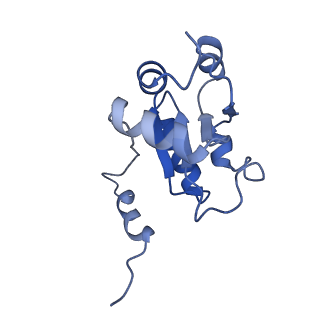 11000_6yxy_Bb_v1-0
State B of the Trypanosoma brucei mitoribosomal large subunit assembly intermediate