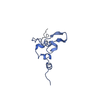 11000_6yxy_Bg_v1-0
State B of the Trypanosoma brucei mitoribosomal large subunit assembly intermediate