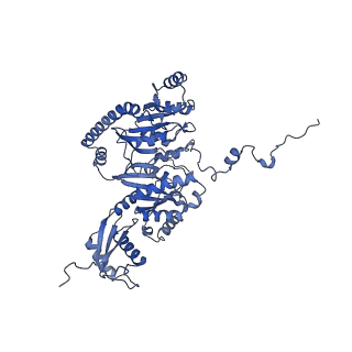 11000_6yxy_EA_v1-0
State B of the Trypanosoma brucei mitoribosomal large subunit assembly intermediate