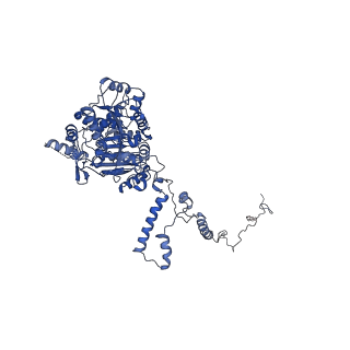 11000_6yxy_EB_v1-0
State B of the Trypanosoma brucei mitoribosomal large subunit assembly intermediate
