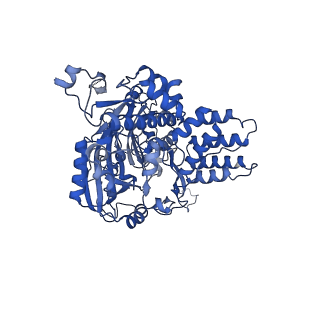 11000_6yxy_ED_v1-0
State B of the Trypanosoma brucei mitoribosomal large subunit assembly intermediate